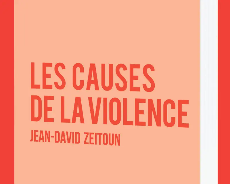 Les Causes de la violence, de Jean-David Zeitoun