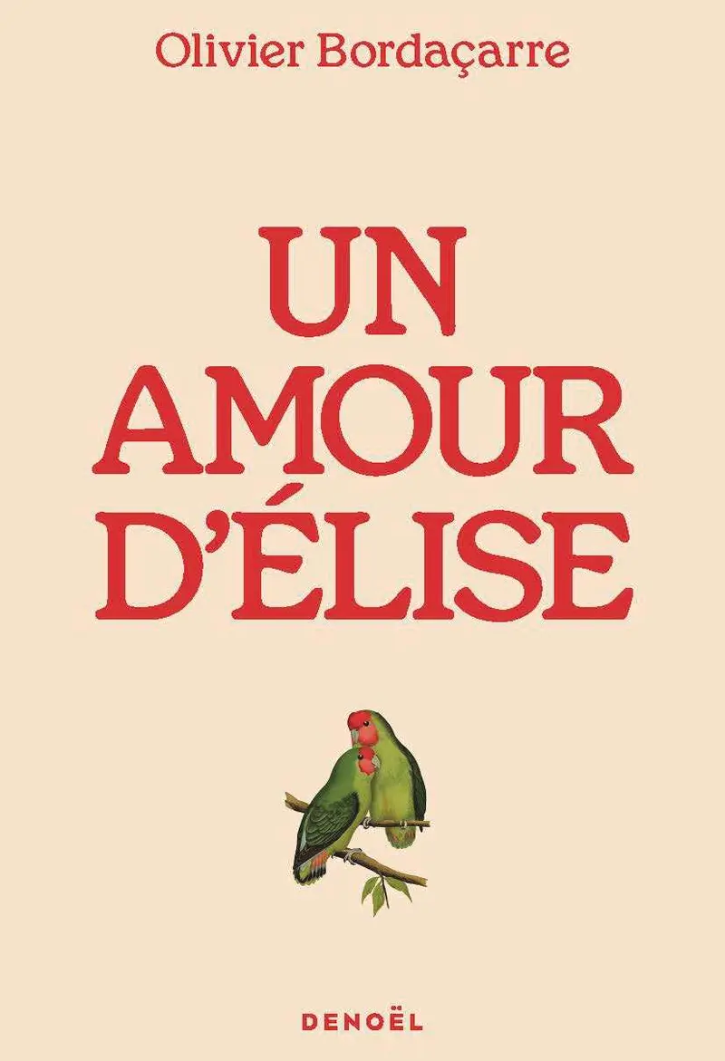 Un amour d'Élise - Olivier Bordaçarre